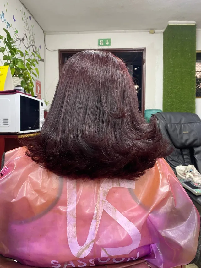 Hidrata, Corte y Secado