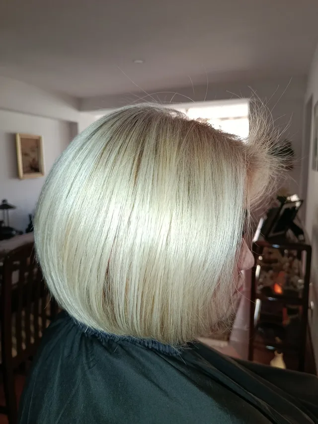 Tinte, mechas, corte y secado